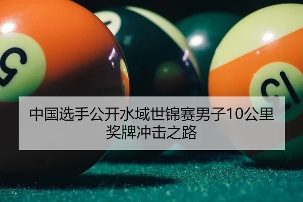 中国选手公开水域世锦赛男子10公里奖牌冲击之路